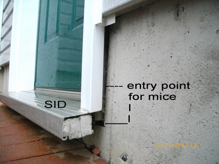 mice entry point at door jamb